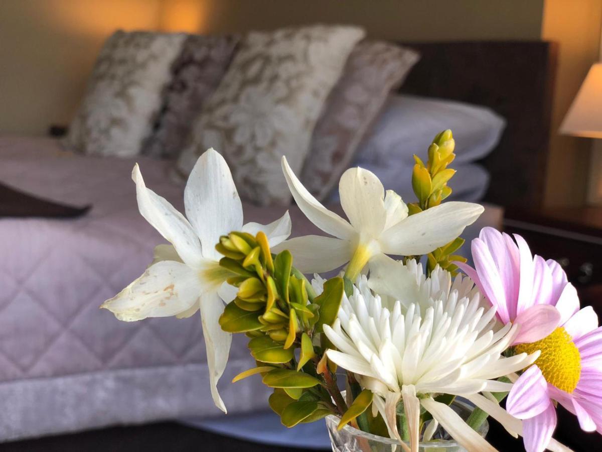 Llangwyryfon Country Breaks Bed & Breakfast Aberystwyth Luaran gambar