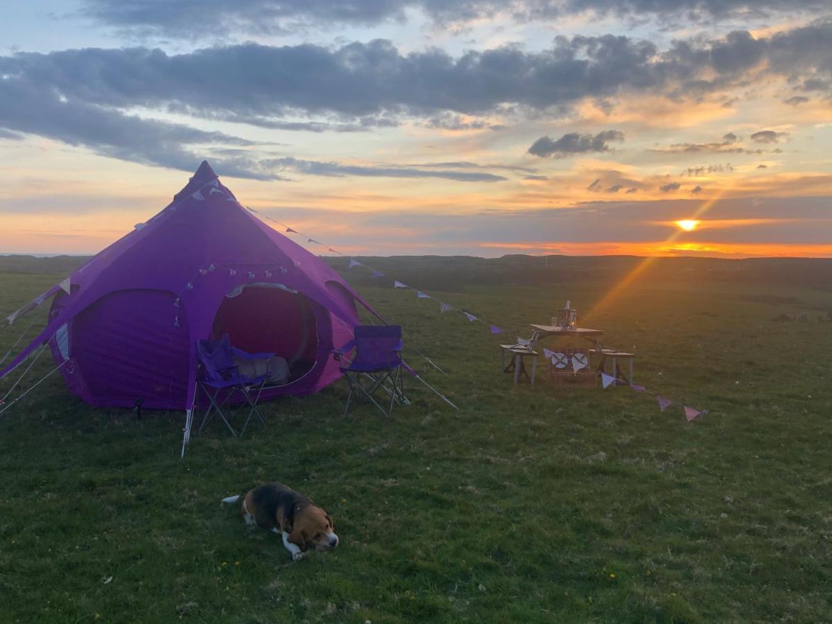 Llangwyryfon Country Breaks Bed & Breakfast Aberystwyth Luaran gambar