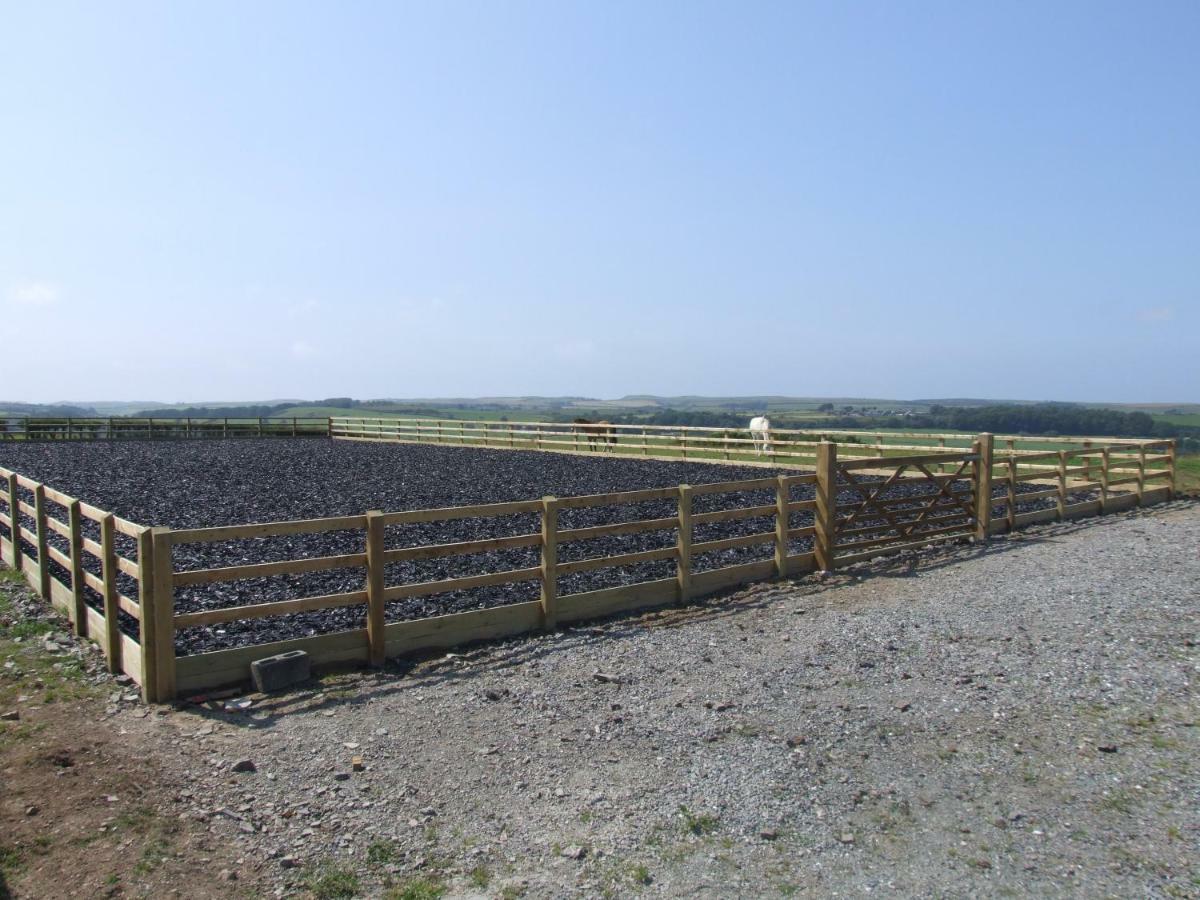 Llangwyryfon Country Breaks Bed & Breakfast Aberystwyth Luaran gambar