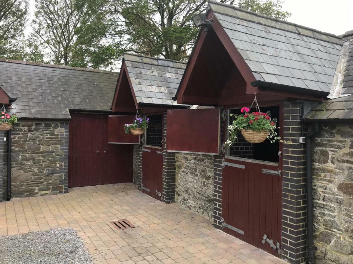 Llangwyryfon Country Breaks Bed & Breakfast Aberystwyth Luaran gambar