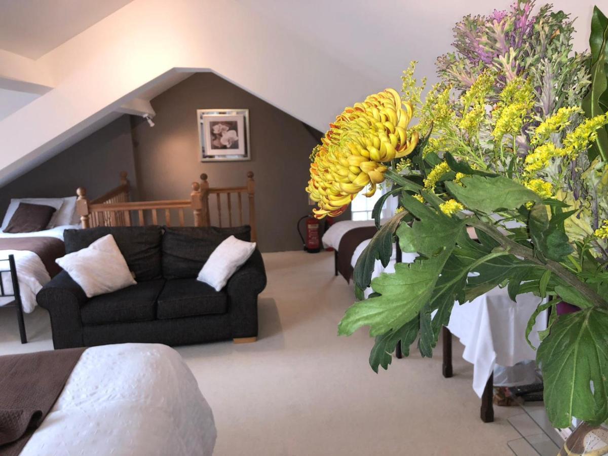 Llangwyryfon Country Breaks Bed & Breakfast Aberystwyth Luaran gambar